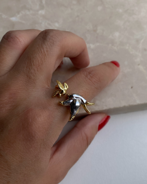 Ayarlanabilir Özel Seri İkili Mix Kuş Yüzük