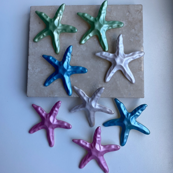 Renkli Deniz Yıldızı Küpe