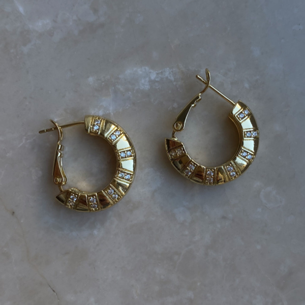 Özel Seri Gold Taş Detaylı Halka Küpe