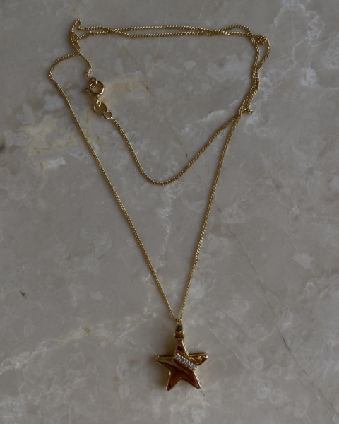 Özel Seri Yıldız Kolye