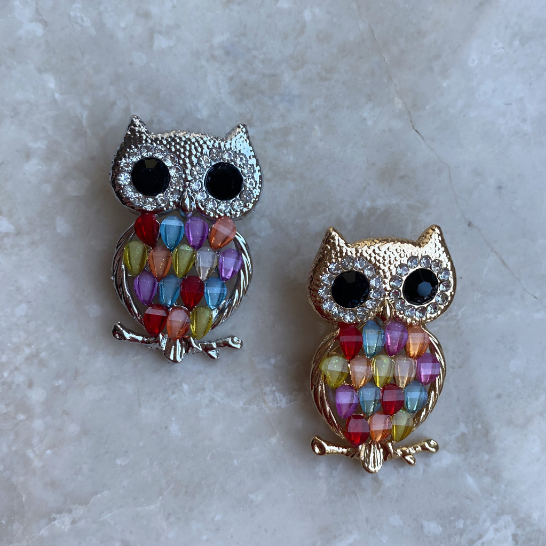 Renkli Baykuş Broş