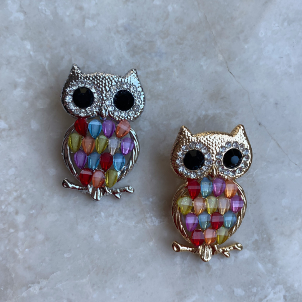 Renkli Baykuş Broş