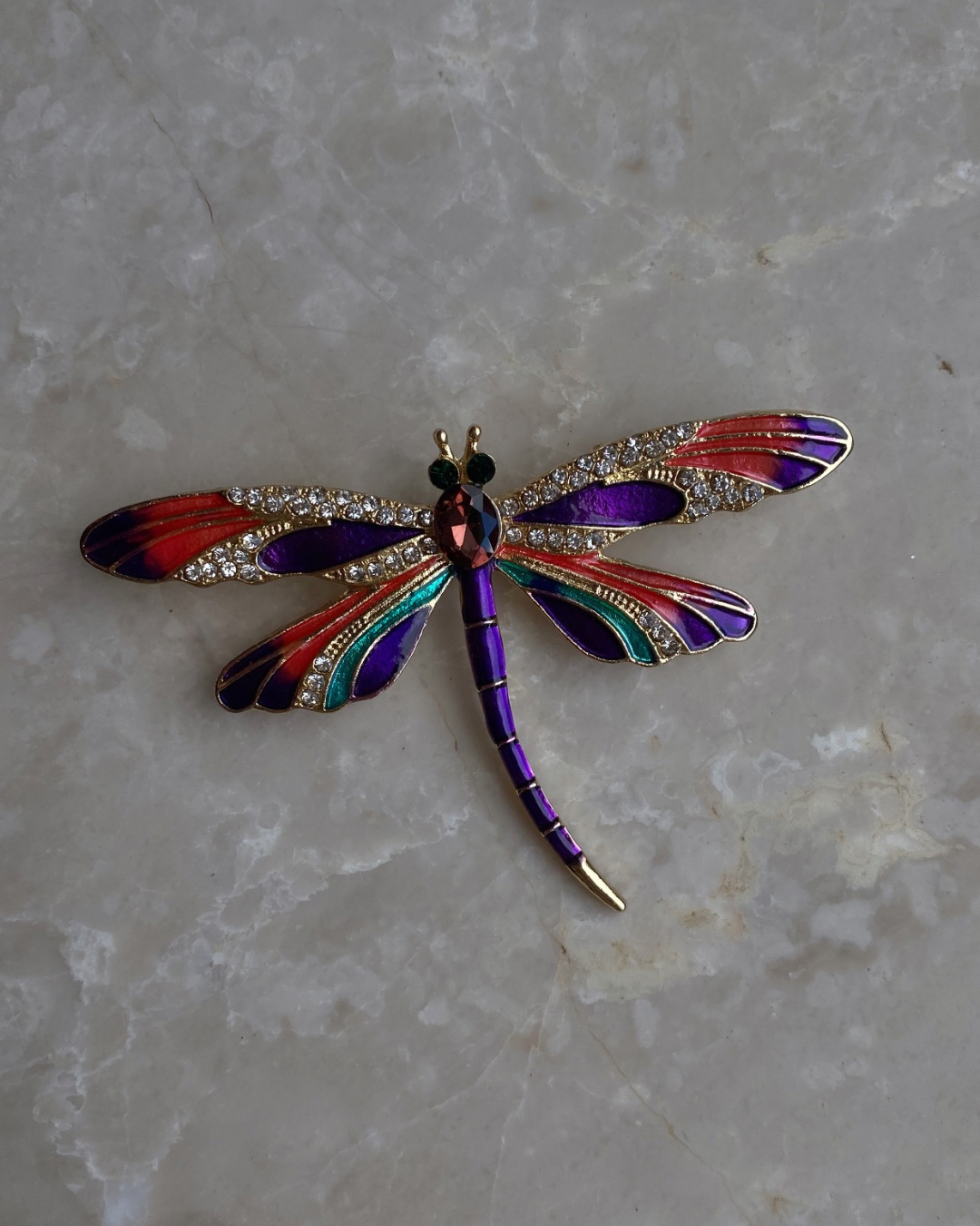 Renkli Yusufçuk Broş