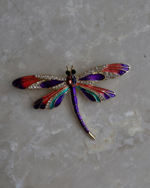 Renkli Yusufçuk Broş